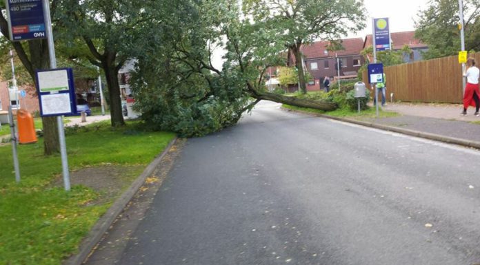 Brückentage: Verwaltung am 30.04 und 11.05. geschlossen, Stadtbibliothek am 30. April geschlossen