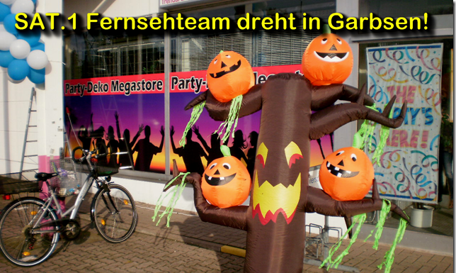 Ein Plan für den Naturpark Steinhuder Meer