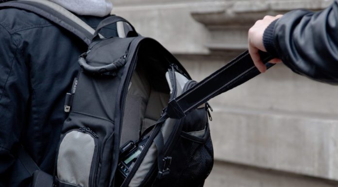 Neuer Schulwald gegen den Klimawandel