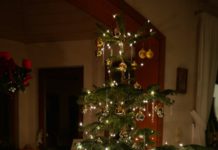 Sterne des Sports 2018 – Bewerbungsfrist endet am 30. Juni