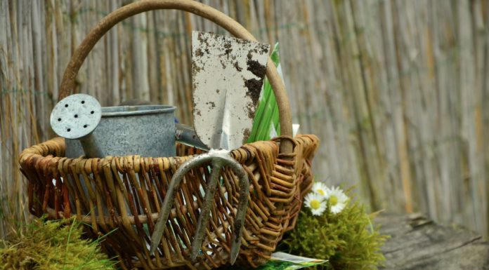 Der Online-Marktplatz Neustadt steht in den Startlöchern