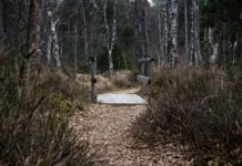 Naturparkkino 2018 – „Magie der Moore“