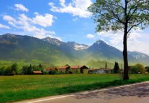 Woher kommt der ganze Blütenstaub?