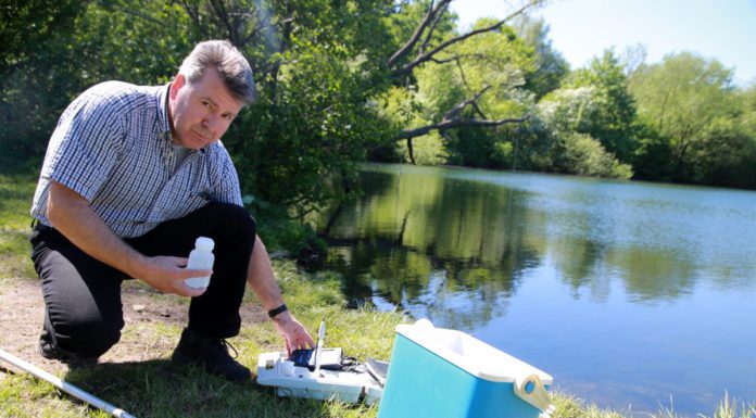 Elektroautos parken kostenlos in der City