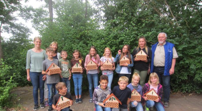 KGS-Schüler nutzen die letzten Schultage für den Naturschutz