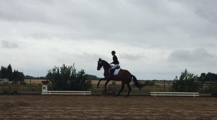 Vollsperrung der K 315 am Ortsausgang Scharrel