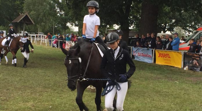 Mit Bus und Fahrradanhänger rund um das Steinhuder Meer