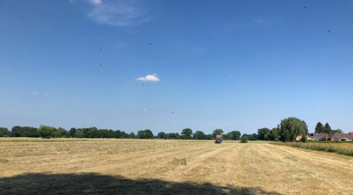 Bürgermeister – Wahl 2019: Briefwahlstelle ist geöffnet