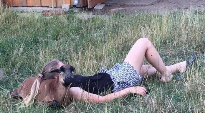 JRK Neustadt qualifiziert sich für Landeswettbewerb