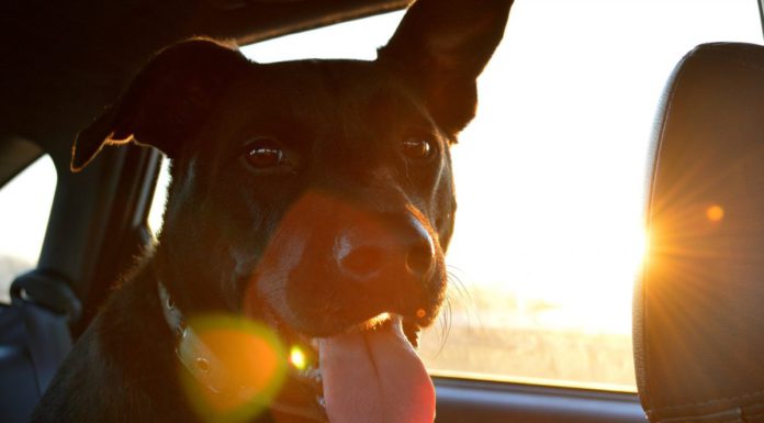 Zum Abkühlen ins Balneon: Stadt schenkt Wahlhelfer Tickets