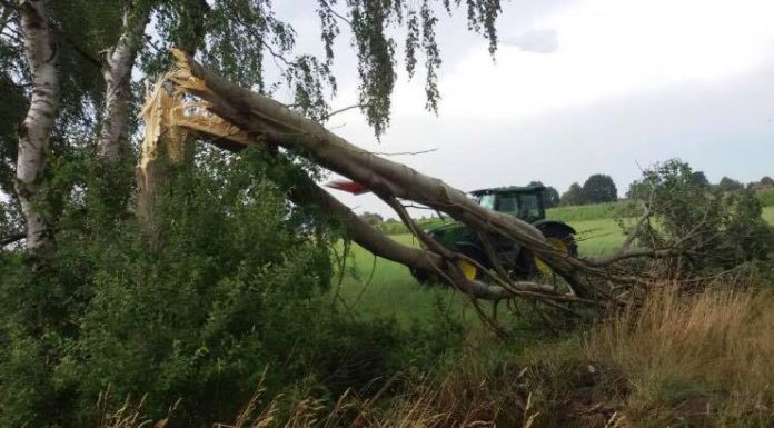 Die Marschstraße ist keine unechte Einbahnstraße mehr