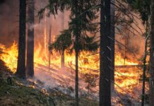 Rekord: 347 Brandmeldungen registriert