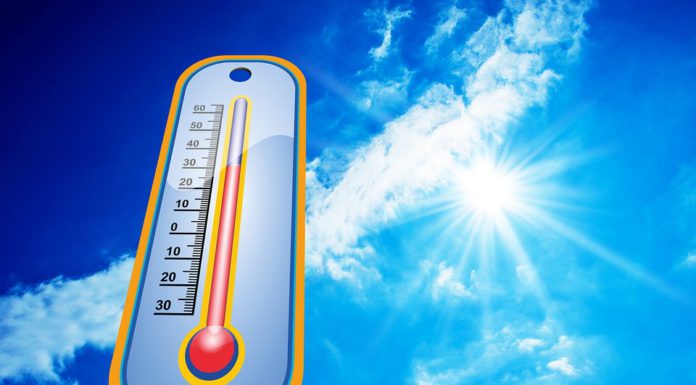 Verkürzte Sprechzeiten der Stadtverwaltung