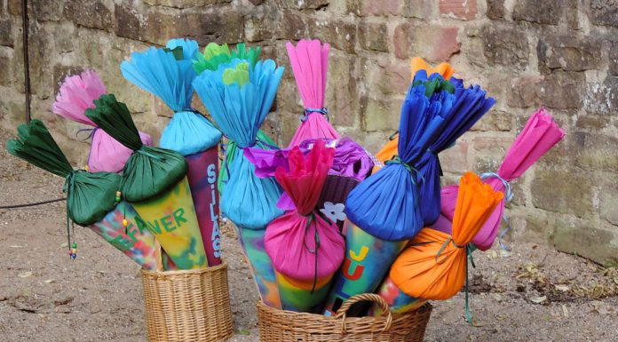 Wo hat unser Kind die besten Schulform – wo hat es die größsten Erfolgserlebnisse?