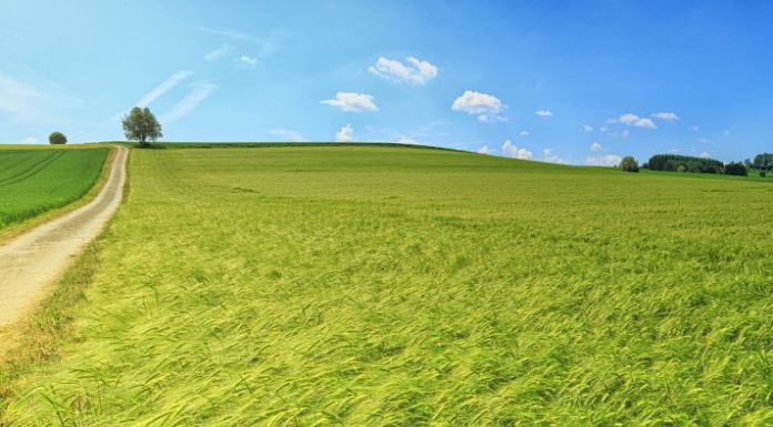 Dorferneuerung Mühlenfelder Land geht weiter