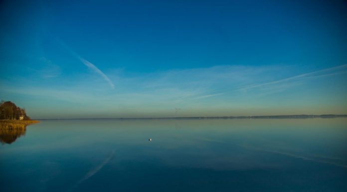 Renaturierungsprojekt geht weiter: Weiße Berg wird wieder Binnendüne