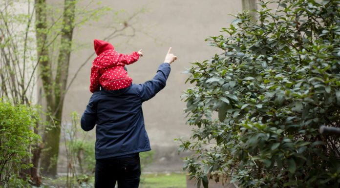 34 Prozent profitieren nicht vom Teilzeit-Gesetz