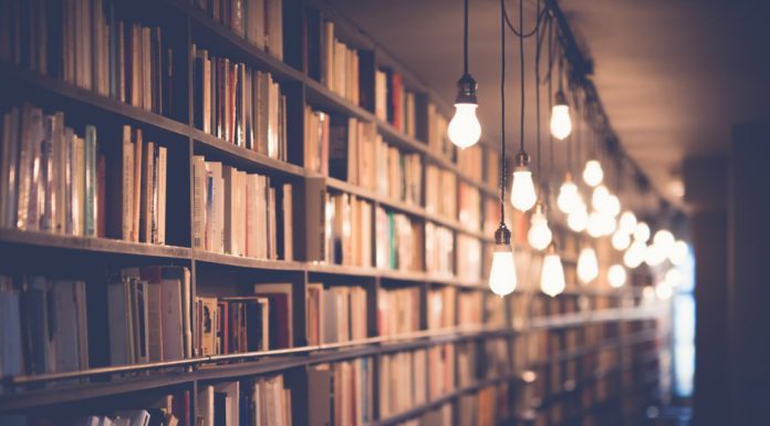 Umzug der Stadtbibliothek macht Weg frei für Neubau am Schloss