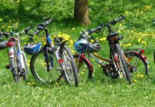 Silvester-Radtour zum Steinhuder Meer