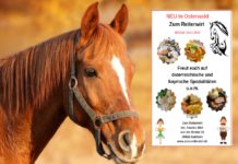 „Zum Reiterwirt“ in Osterwald wird gut angenommen