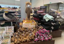 Süsse Geier-Aktion bei miezebello in Berenbostel!