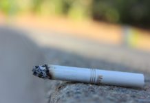 Sicherheitstipps zum Schutz der trockenen Natur