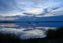 Naturerlebnisangebote 2019 – „Adler – Tour“