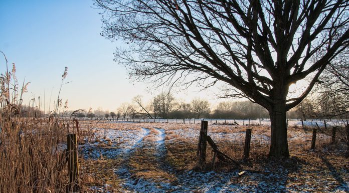 Lässt sich die Apfelchaussee in die Leineaue verlängern?