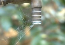 Sinkende Pegelstände in den Behältern – WVGN beschränkt Verwendung von Trinkwasser