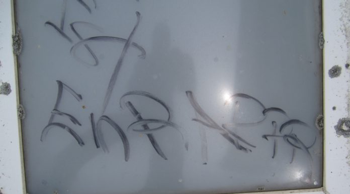 Aufgebrochene Gartenlauben und beschmierte Lichtkuppeln in Neustadt