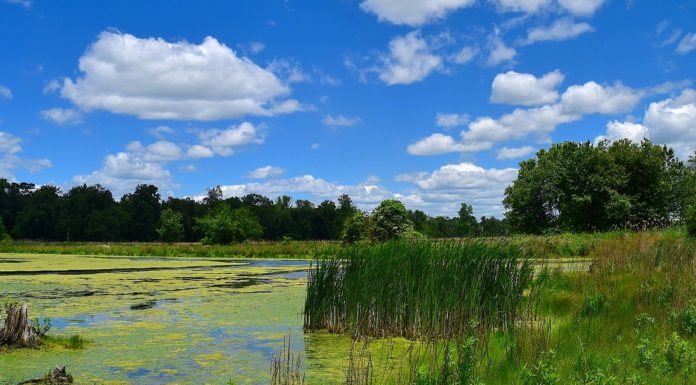Region Hannover hebt Badeverbot an der Weißen Düne auf