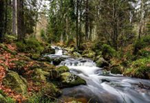 Freizeitangebote für Alleinerziehende und Familien im Herbst