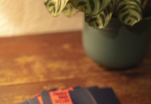 Frauenhaus24 geht an den Start