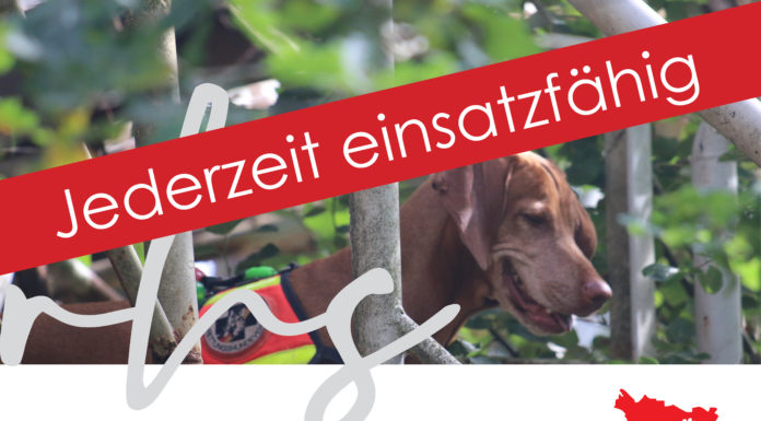Coronavirus in der Region: DRV Rettungshundestaffel Neustadt a. Rbge. e. V. bleibt einsatzfähig