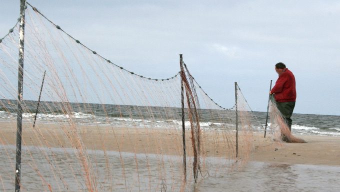 Stellnetzfischerei am Steinhuder Meer bleibt erlaubt