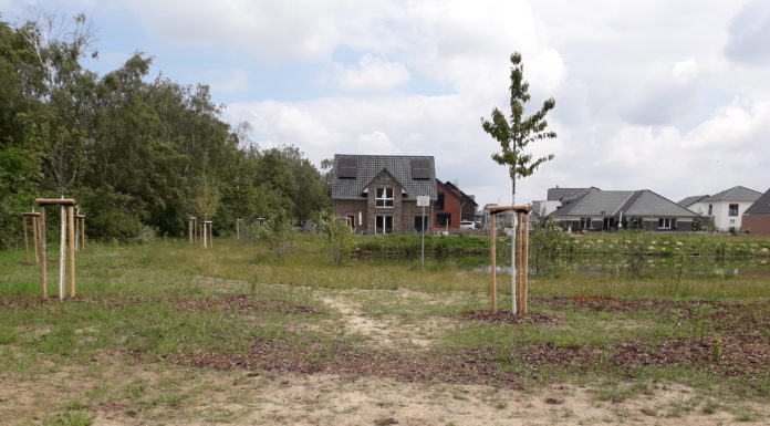 Vorrübergehende Einzäunung des Sees in den Auengärten