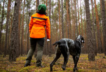Klimageschädigter Wald: Mehr Forstpersonal in Niedersachen gefordert