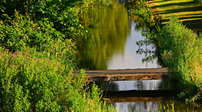 Neustadt: Städtische Gräben werden geräumt