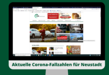 24 Corona-Fälle in Neustadt, weitere Zahlen für die Region Hannover