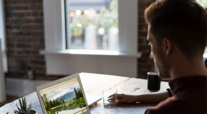 Steinhuder Meer Konferenz: Erleben wir Natur bald digital?