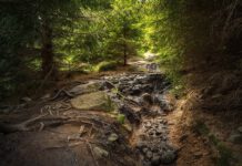 Noch freie Plätze: Entspannender Kurzurlaub im Harz