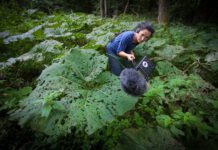 Künstleringespräch mit Klangperformance am 18. Juni in Neustadt