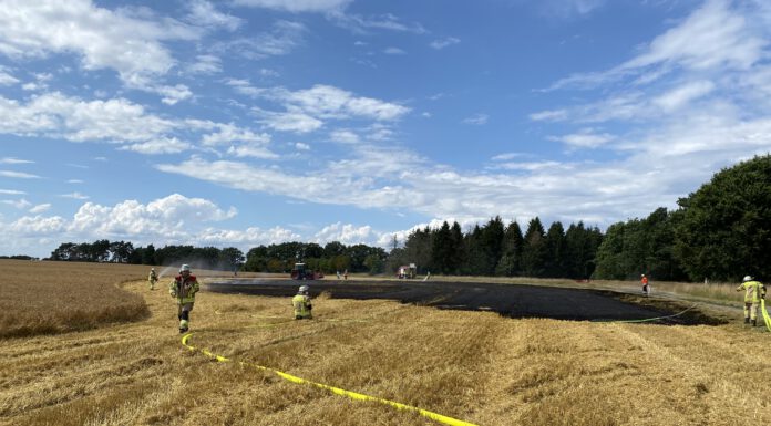 Flächenbrand in Mariensee – 2.000 qm Fläche betroffen