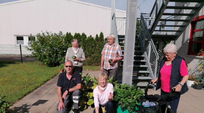 Erste Ernte in der DRK-Tagespflege Neustadt