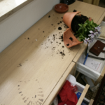 Polizei warnt vor Kriminellen im Urlaub