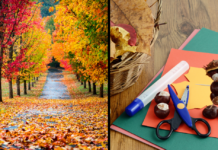 Naturpark Steinhuder Meer: Bastelaktion am 9. Oktober