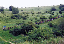 Atelierspaziergang : 31 Künstlerinnen und Künstler öffnen die Tore zu ihren Arbeitsstätten