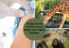 Zoo und Region Hannover planen Impfstraßen für Kinder und Erwachsene