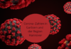Corona: Aktuelle Zahlen, aktuelle Regeln in der Region Hannover – Stand: 04.02.2022