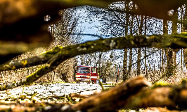 Sturmtief Ylenia war gestern – heute kommt Zeynep – Tipps bei Sturm und Unwetter